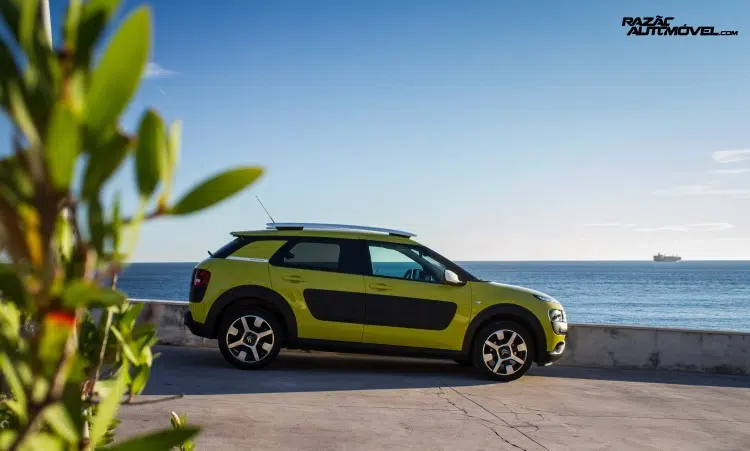 Citroen C4 Cactus design