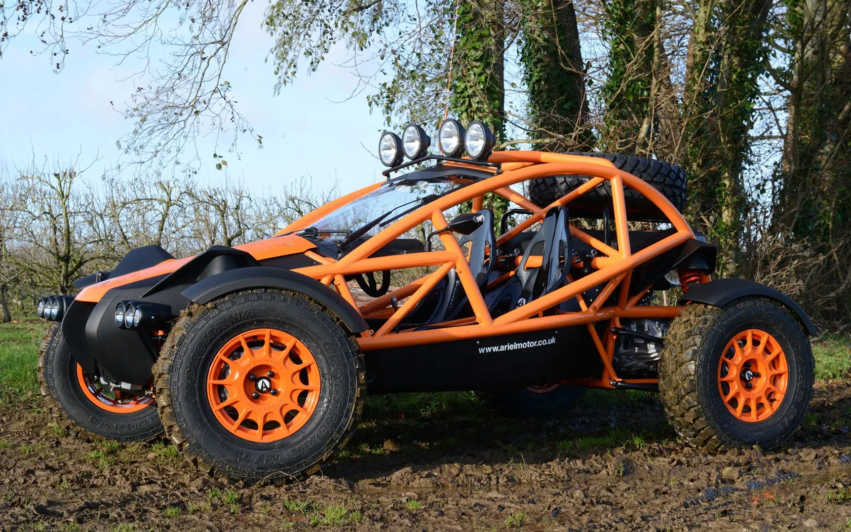 Ariel Nomad