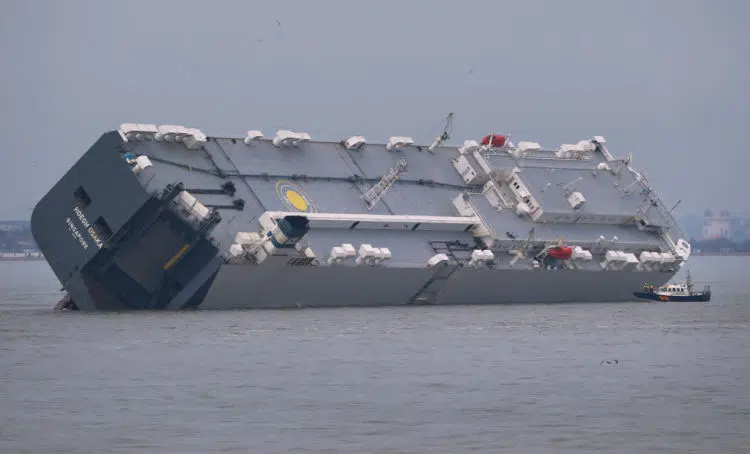 hoegh osaka 7