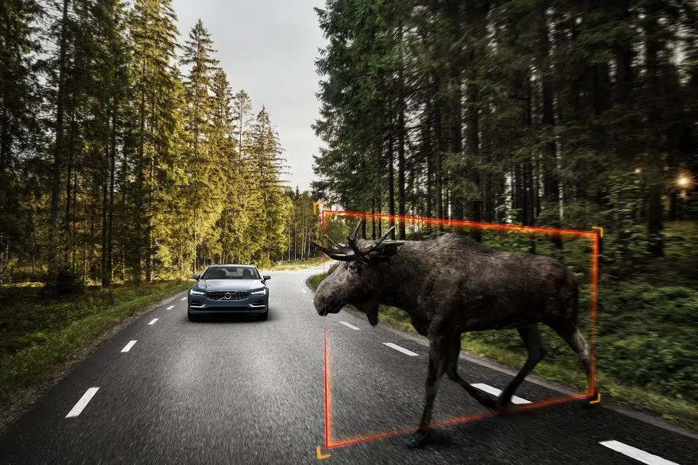 Volvo S90 Exterior Large Animal Detection