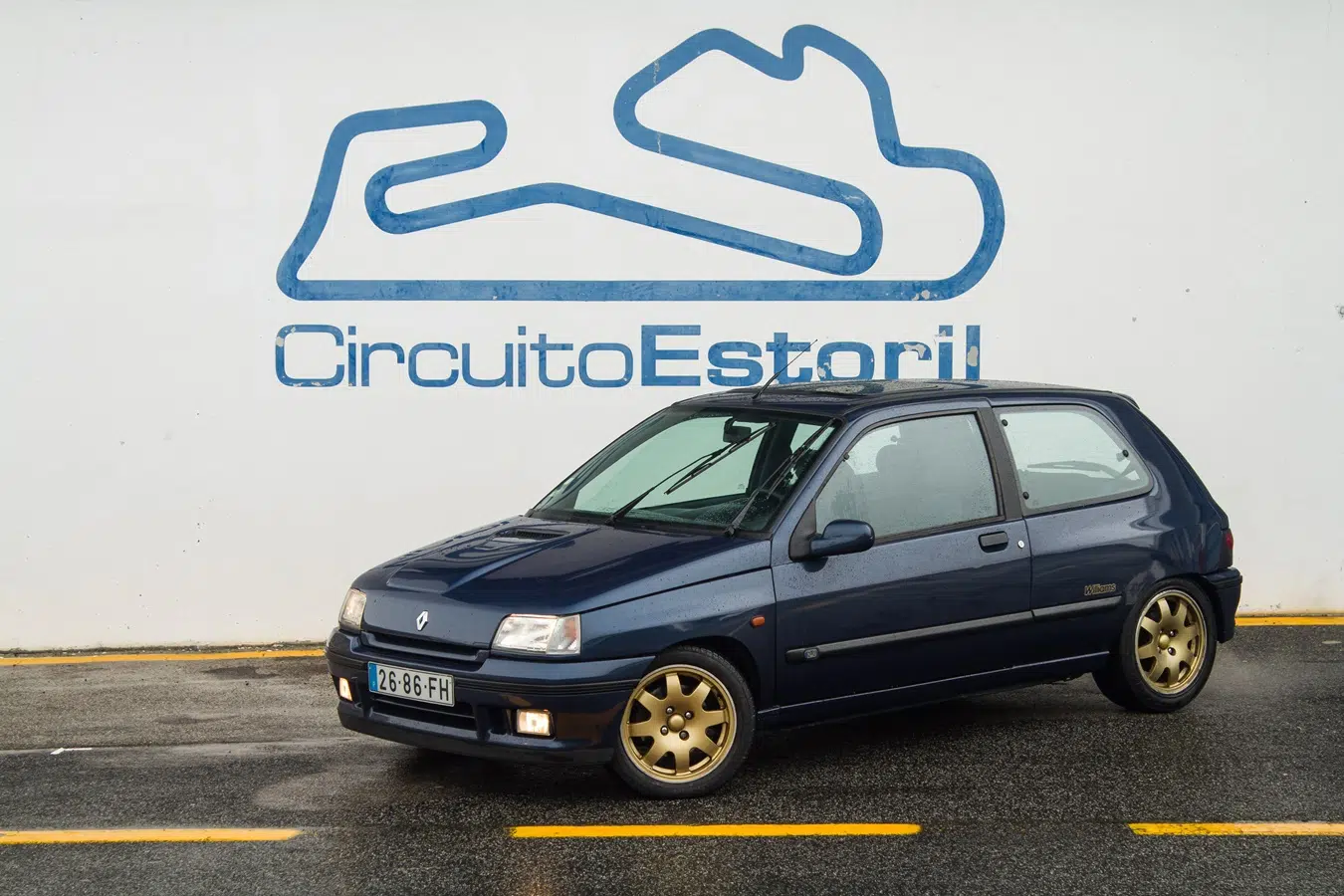 Renault Clio Williams (54)