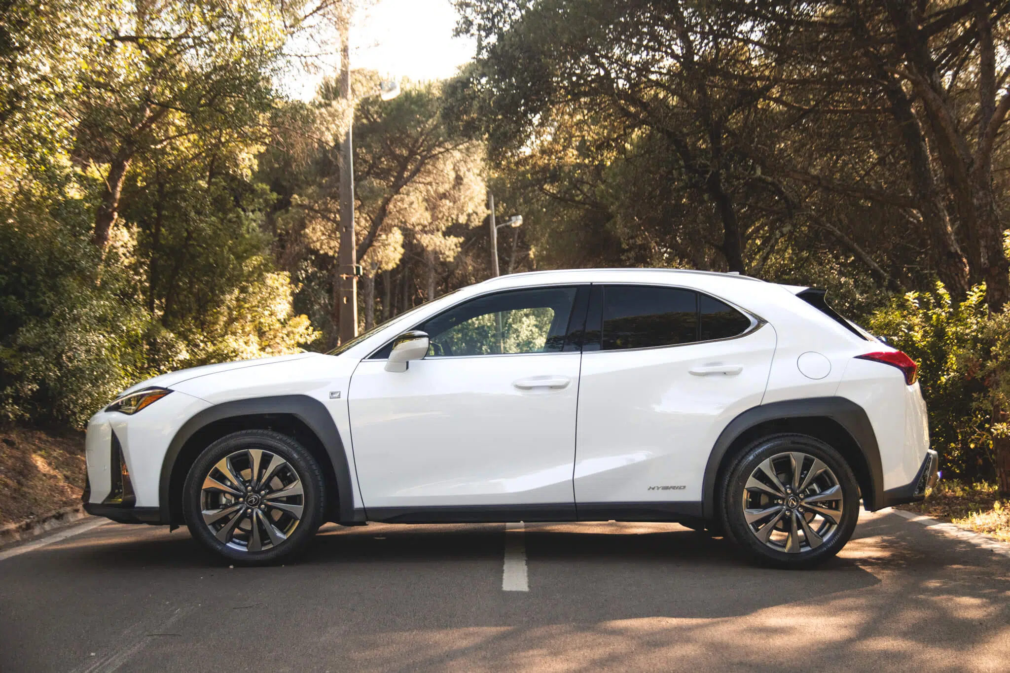 Lexus UX 250h