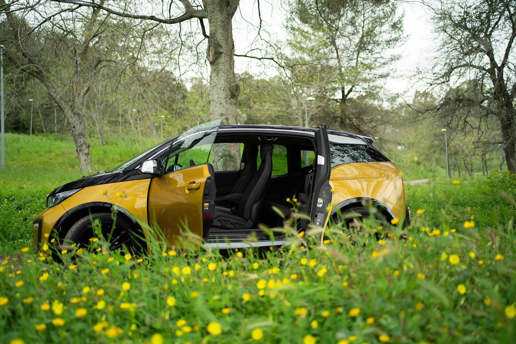 BMW i3 de portas abertas rodeado de vegetação