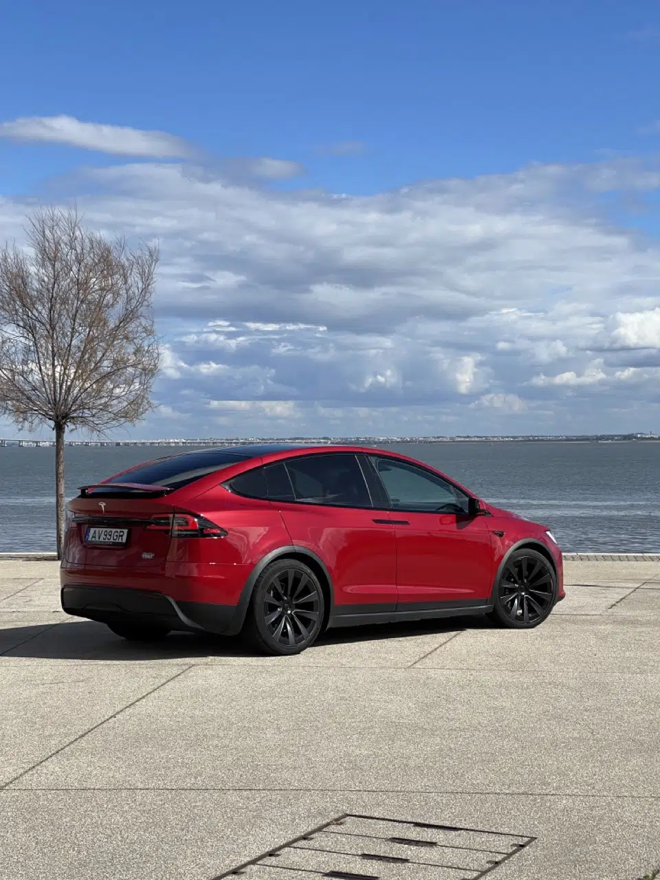 Perfil traseira Tesla Model X Plaid