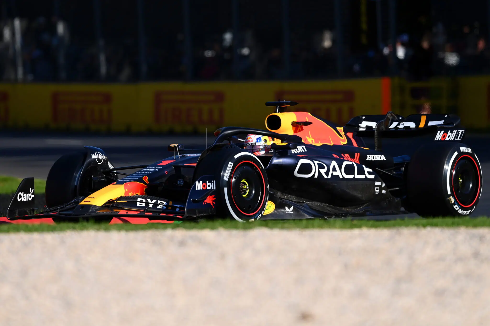 Max verstappen f1 red bull