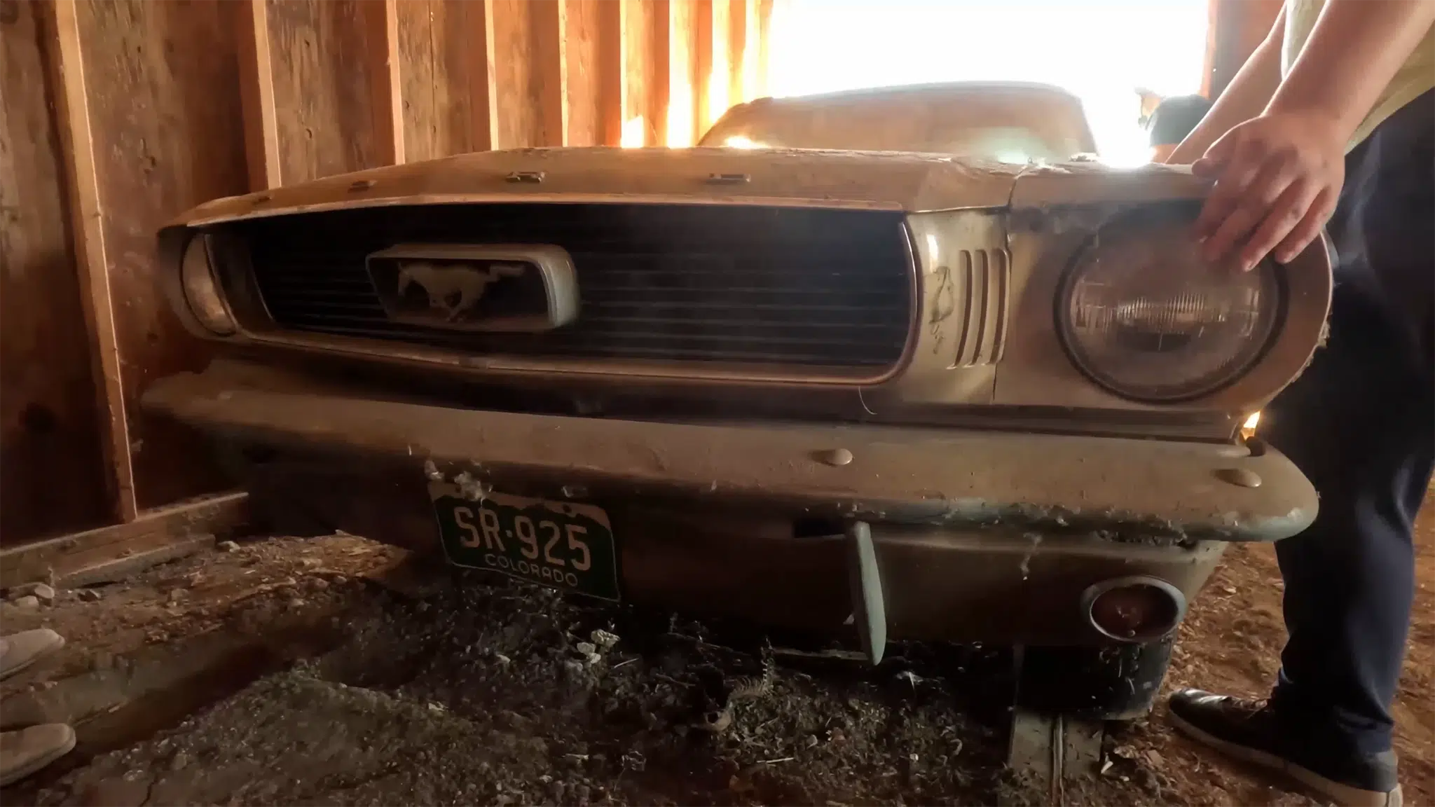 Para salvar este Ford Mustang não bastou abrir a porta do celeiro